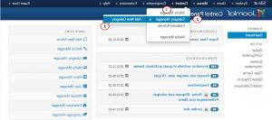 Joomla.-How-to-manage-slider-in-multilingual-site-1
